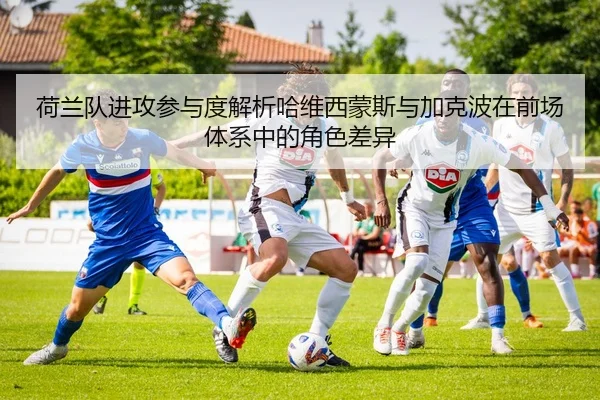 荷兰队进攻参与度解析哈维西蒙斯与加克波在前场体系中的角色差异